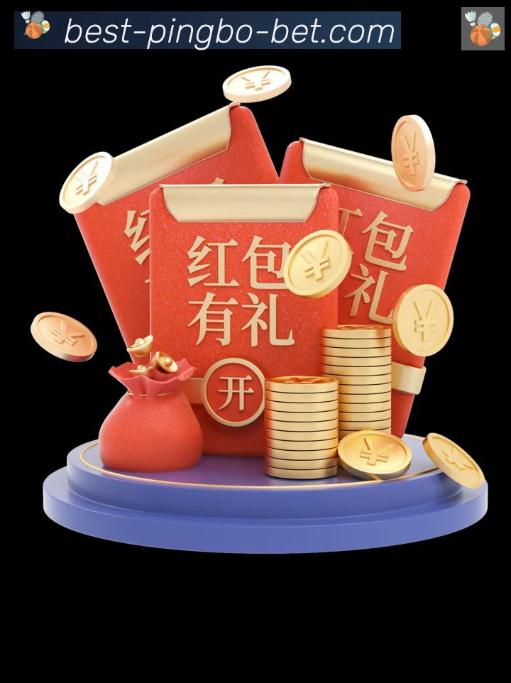 未来规划
